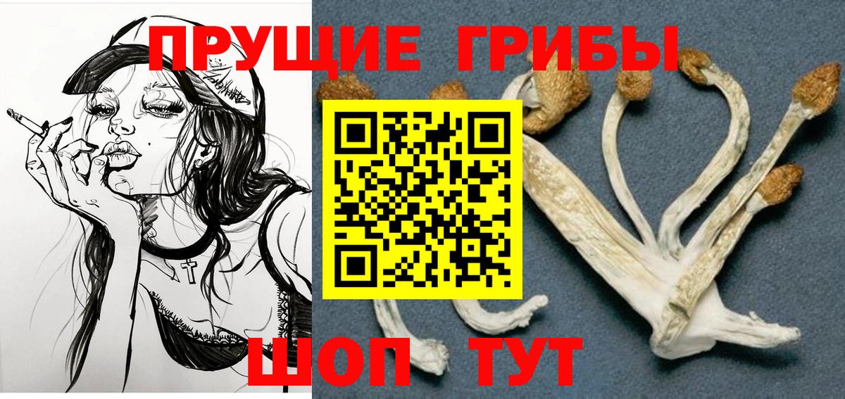 Галлюциногенные грибы Cubensis Знаменск